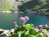 20- Lago della Malgina